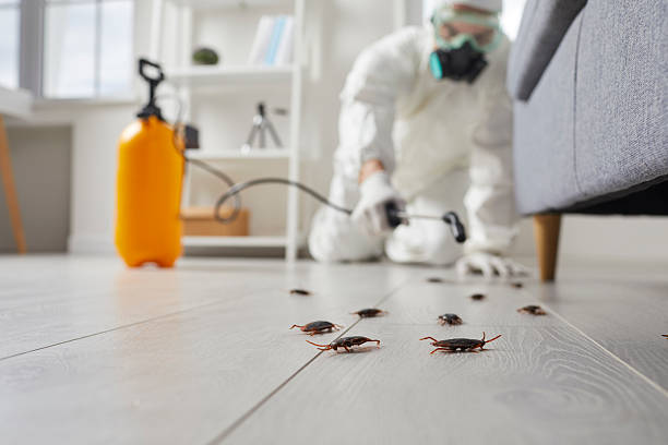 Commercial Kitchen Cockroach Control in Rittman